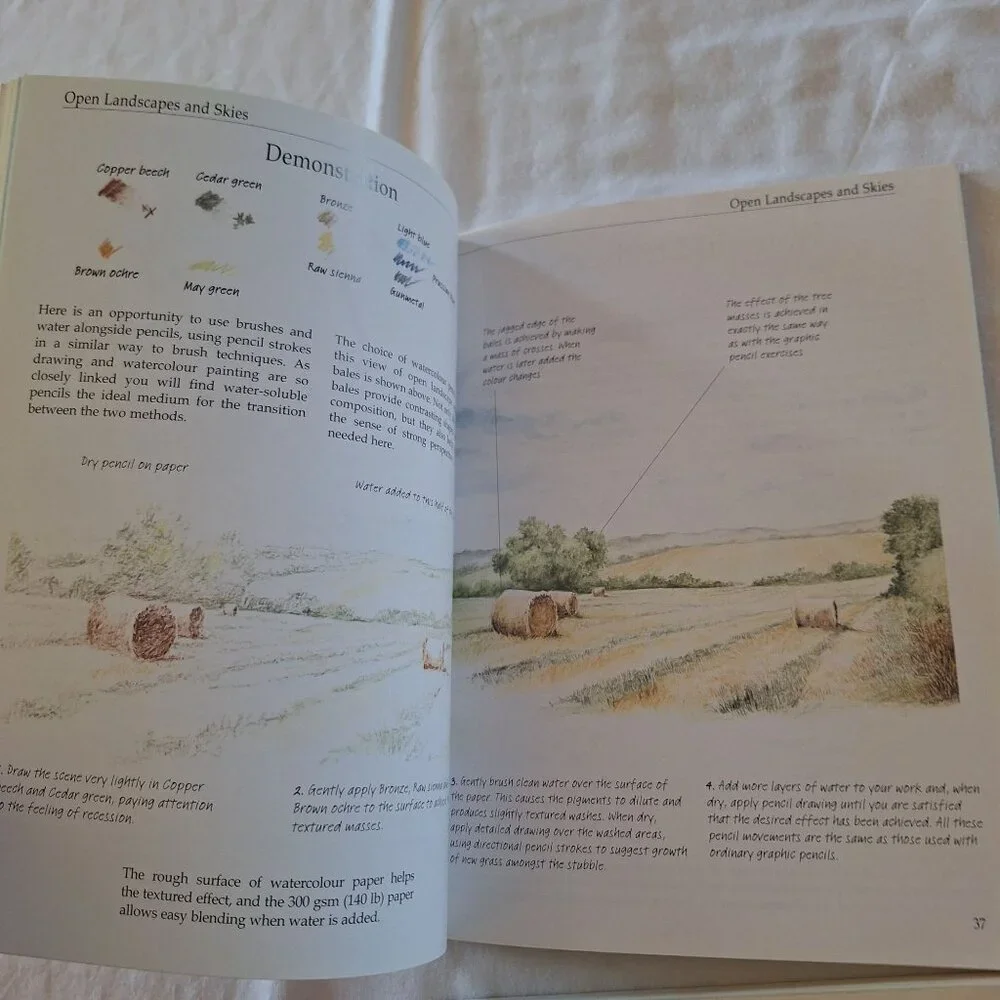 2 Trouble-Shooting Drawing & Watercolor Problems And Solutions By Trudy Friend - Picture 5 of 6